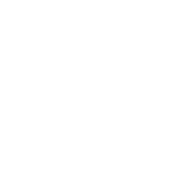 Icon - Team